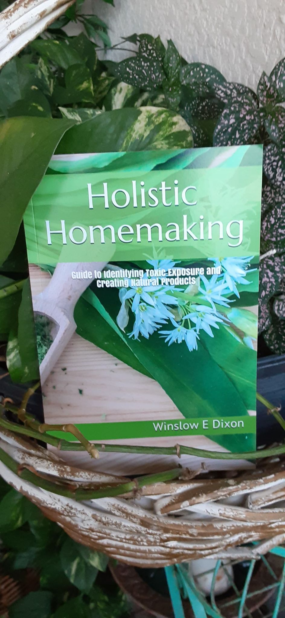 Holistic Homemaking: Guide to Identifying Toxic Exposure and Creating Natural Products