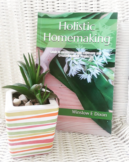 Holistic Homemaking: Guide to Identifying Toxic Exposure and Creating Natural Products